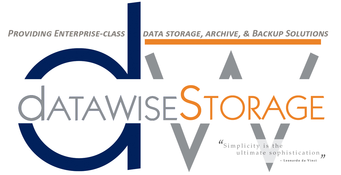 datawise storage logo